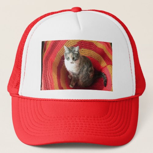 Pearl Cat on Afghan Trucker Hat
