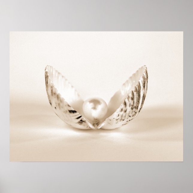 Pearl In Seashell Poster (Front)