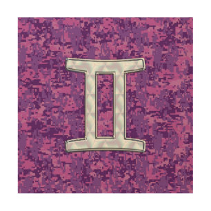 Pearl Like Gemini Zodiac Symbol Digital Camouflage Wood Wall Decor