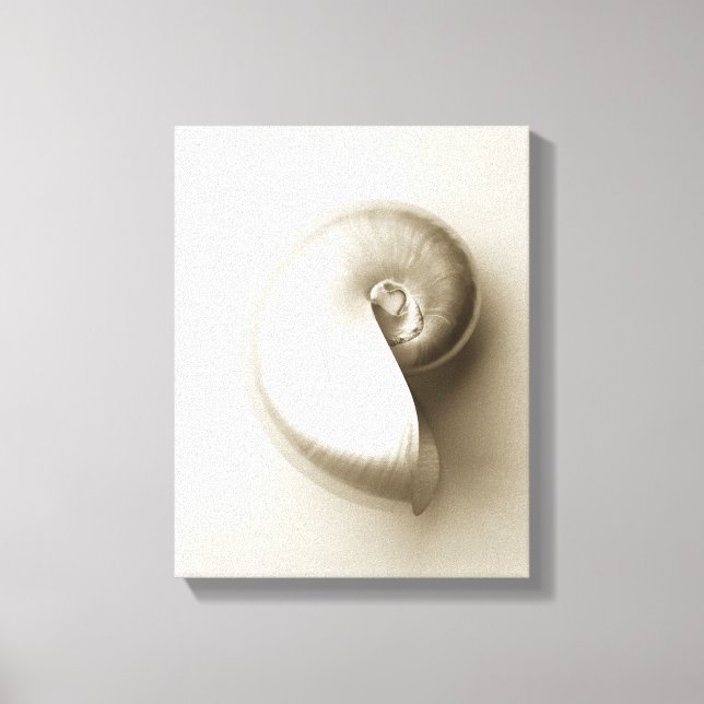 Pearl Nautilus Seashell Canvas Print (Front)