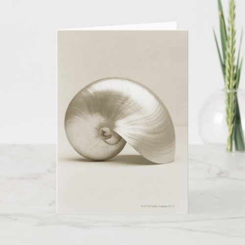 Pearl Nautilus Seashell Card