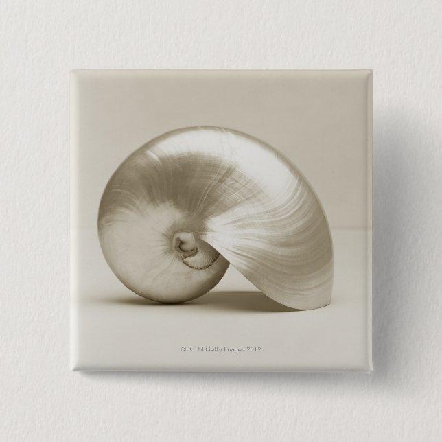 Pearl Nautilus Seashell Pinback Button (Front)