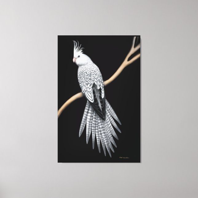 Pearl Pied Cockatiel Parrot Wrapped Canvas Print (Front)