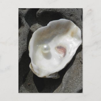 Pearl Postcard by The_Everything_Store at Zazzle