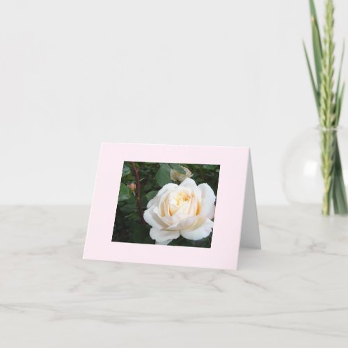 Pearl Rose blank notecard