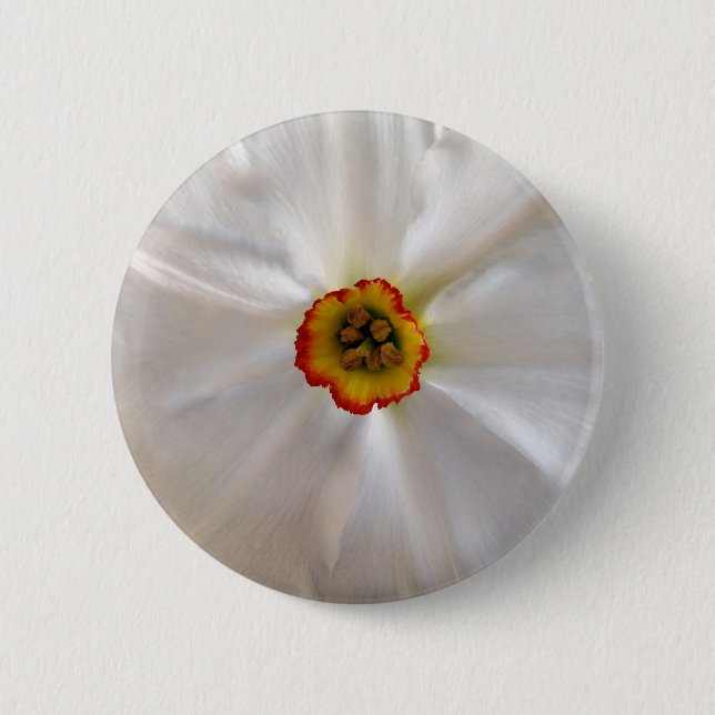 pearl white narcissus button (Front)
