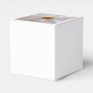 pearl white narcissus favor boxes