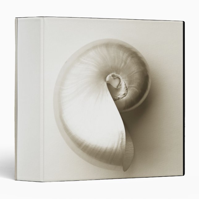 Pearlised nautilus sea shell 2 binder (Front/Spine)