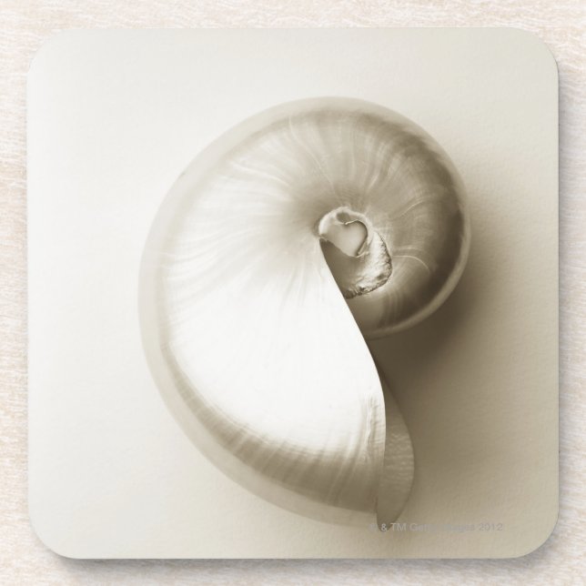 Pearlised nautilus sea shell 2 drink coaster (Front)