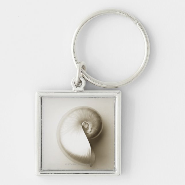 Pearlised nautilus sea shell 2 keychain (Front)