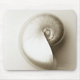 Pearlised nautilus sea shell 2 mouse pad