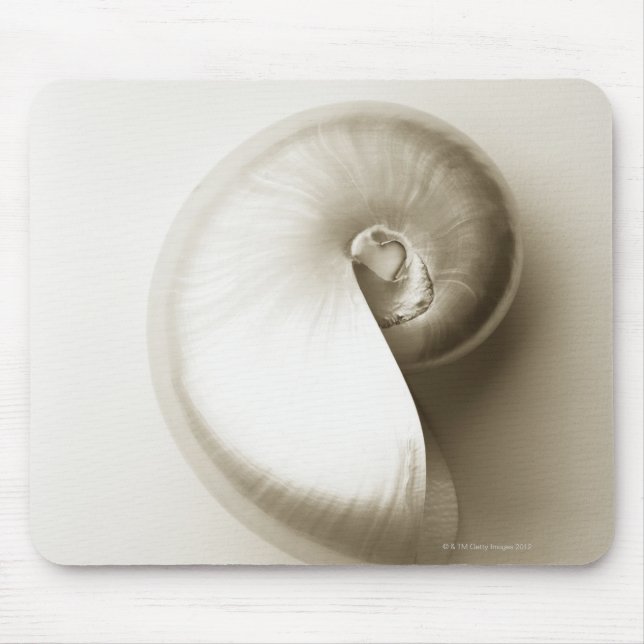 Pearlised nautilus sea shell 2 mouse pad (Front)