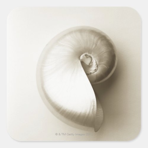 Pearlised nautilus sea shell 2 square sticker