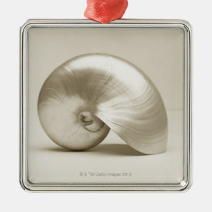 Pearlised nautilus sea shell metal ornament