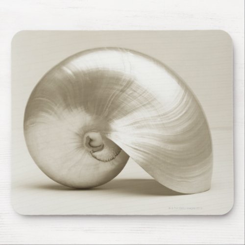 Pearlised nautilus sea shell mouse pad