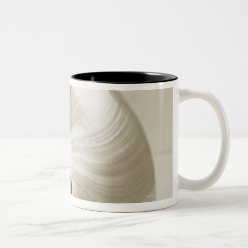 Pearlised nautilus sea shell Two_Tone coffee mug