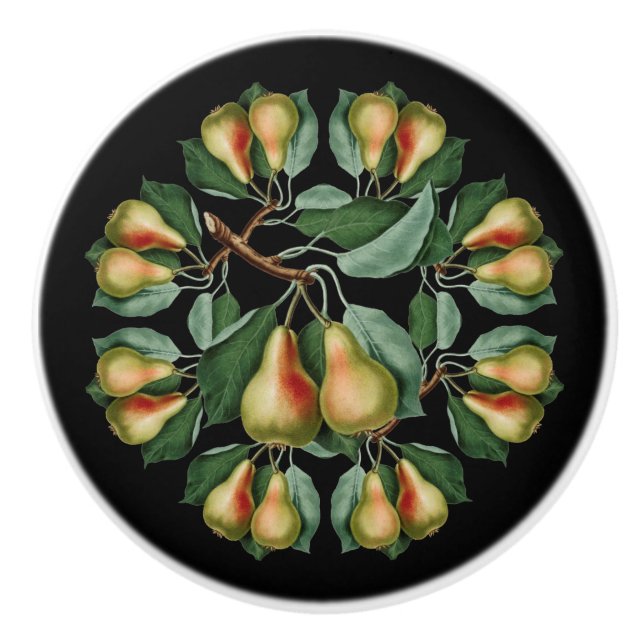 Pears ~ Black or Any Color Background ~ * ~ Ceramic Knob (Front)