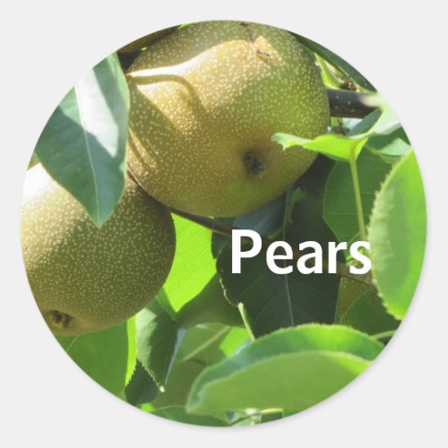 Pears Classic Round Sticker