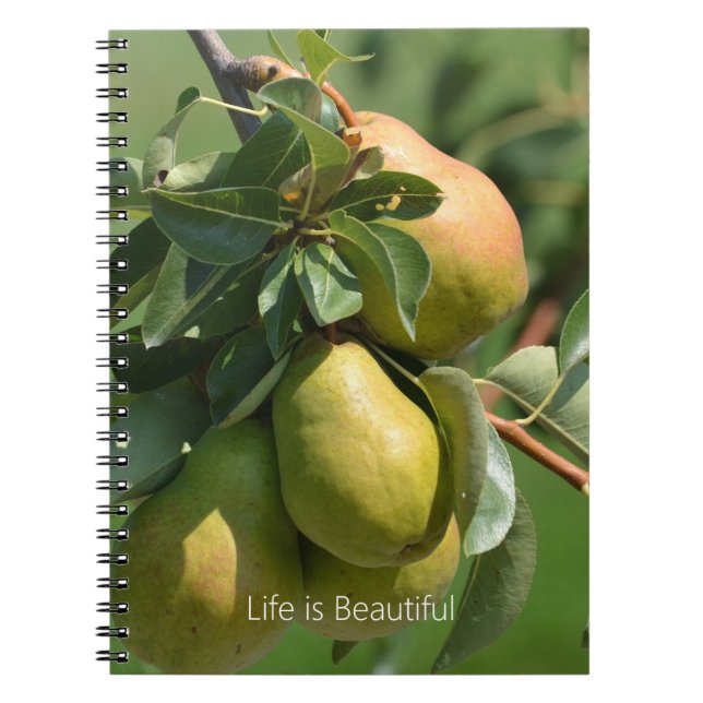 Pears Fruit (my photography) Notebook (Front)