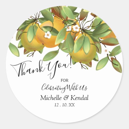 Pears Fruit  Thank You Classic Round Sticker