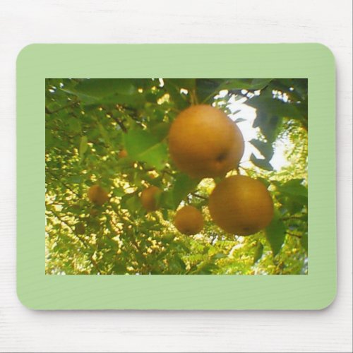 Pears in Full Bloom Mouse Pad