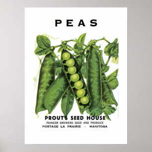 Peas Seed Packet Label Poster