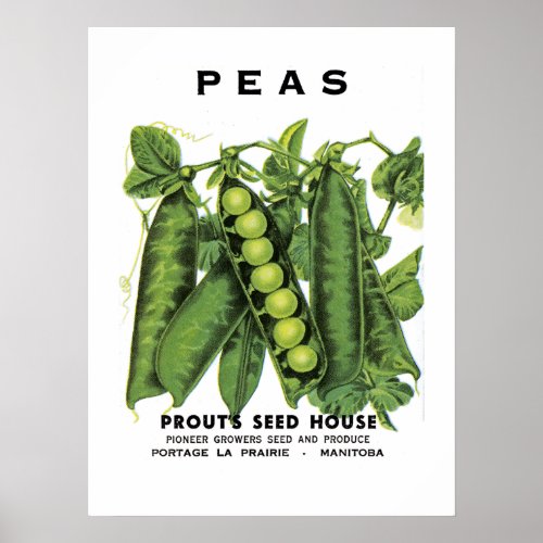 Peas Seed Packet Label Poster