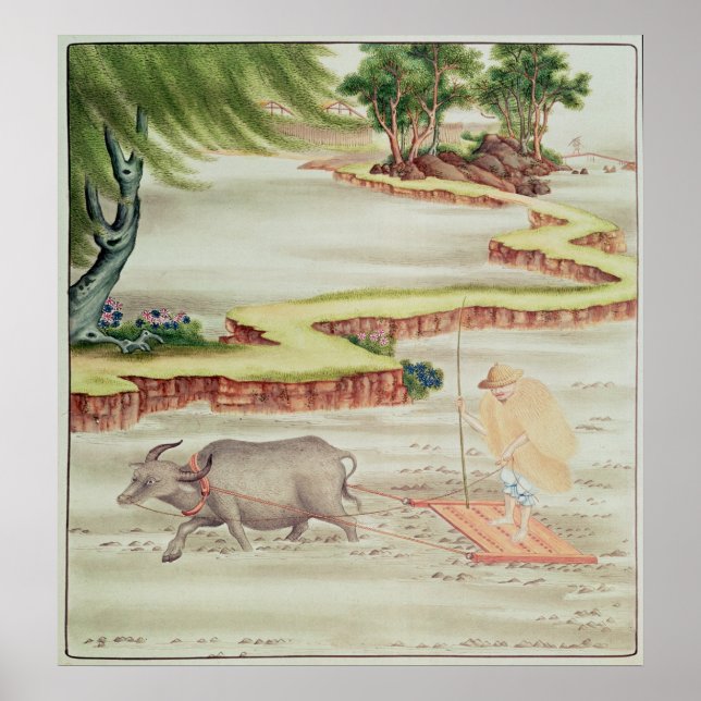 Peasant working in the paddy fields poster (Front)