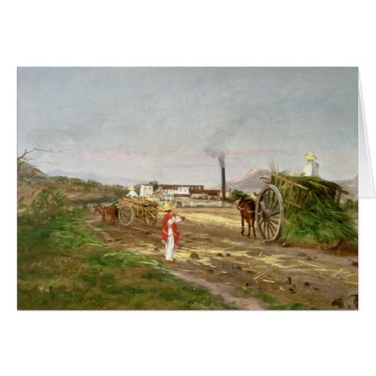 Peasants Collecting Sugar Cane (Front Horizontal)