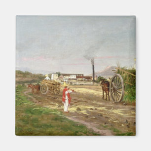 Peasants Collecting Sugar Cane Magnet