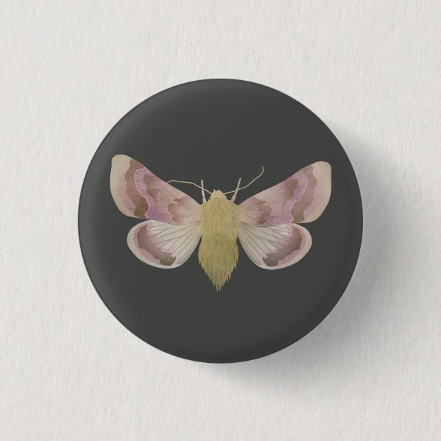 Pease blossom moth (periphanes delphinii) button (Front)