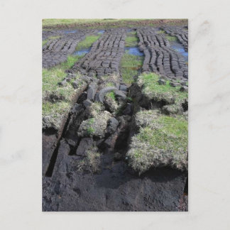 Peat Cutting In Ireland Postcard