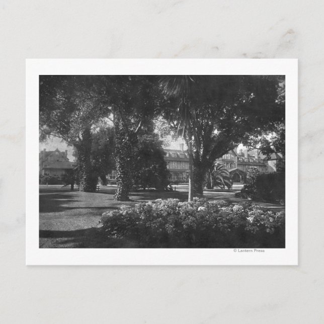 Pebble Beach, CA - Del Monte Hotel Photo Postcard (Front)