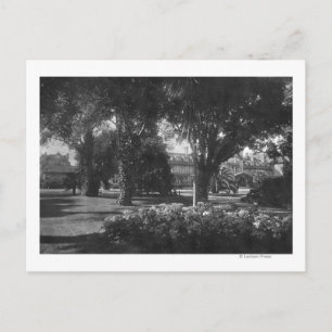 Pebble Beach, CA - Del Monte Hotel Photo Postcard