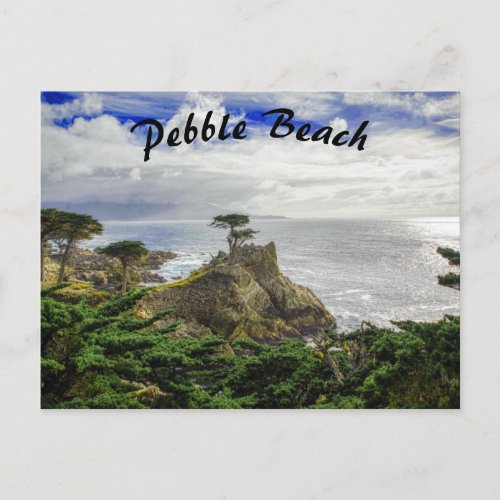 Pebble Beach California Ocean View Postcard