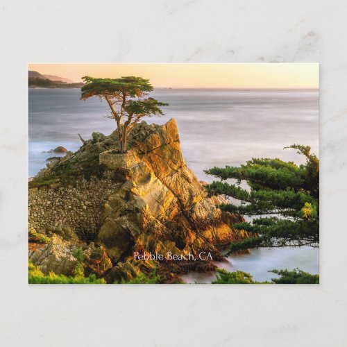 Pebble Beach California Postcard