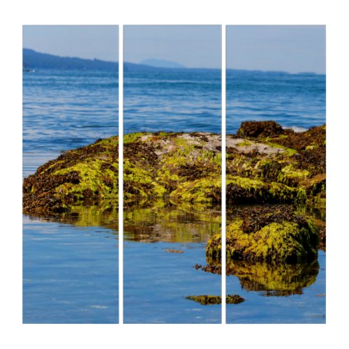 Pebble Beach Galiano Island British Columbia Triptych