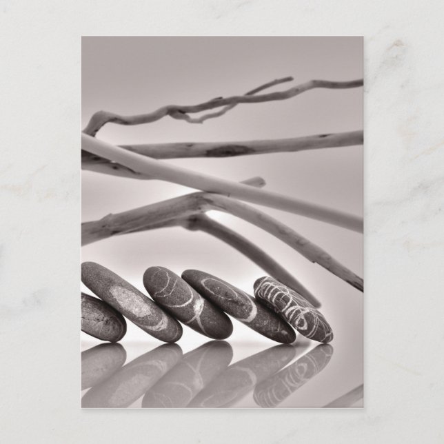 Pebbles and driftwood postcard (Front)