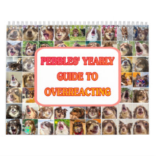 Pebbles' Calendar