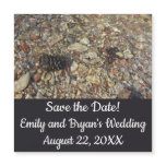 Pebbles in Taylor Creek Nature Photo Save the Date