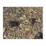 Pebbles in Taylor Creek Nature Photography Acrylic Print