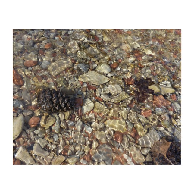 Pebbles in Taylor Creek Nature Photography Acrylic Print (Front)