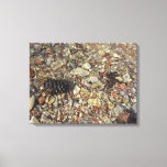 Pebbles in Taylor Creek Nature Photography Canvas Print