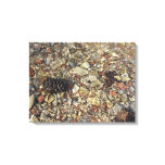 Pebbles in Taylor Creek Nature Photography Canvas Print