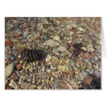 Pebbles in Taylor Creek Nature Photography Card
