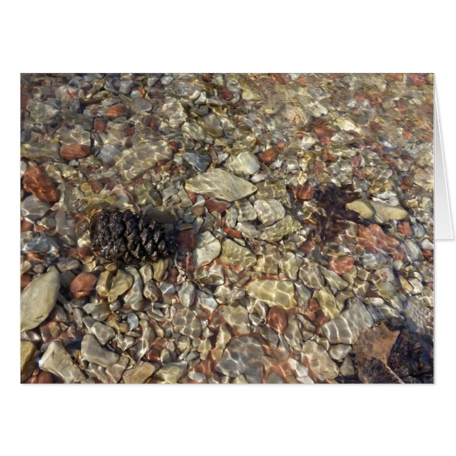 Pebbles in Taylor Creek Nature Photography Card (Front Horizontal)