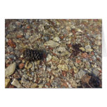 Pebbles in Taylor Creek Nature Photography Cards
