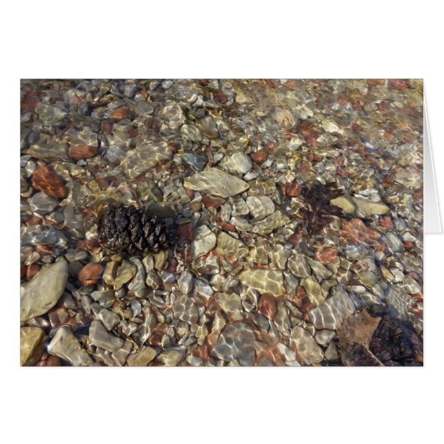 Pebbles in Taylor Creek Nature Photography Cards (Front Horizontal)