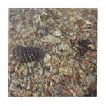 Pebbles in Taylor Creek Nature Photography Ceramic Tile
