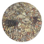 Pebbles in Taylor Creek Nature Photography Classic Round Sticker